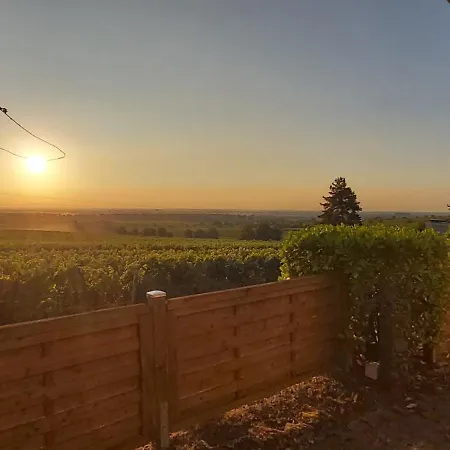 In Den Weinbergen * Wachenheim an der Weinstraße