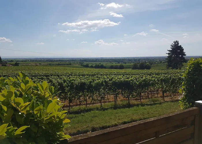 In Den Weinbergen Wachenheim an der Weinstraße
